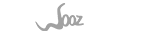 Wooztravel